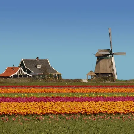 Het Dobbertje, Houten Tatil Evi