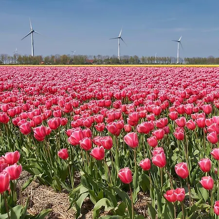 Hébergement de vacances Het Dobbertje, Houten
